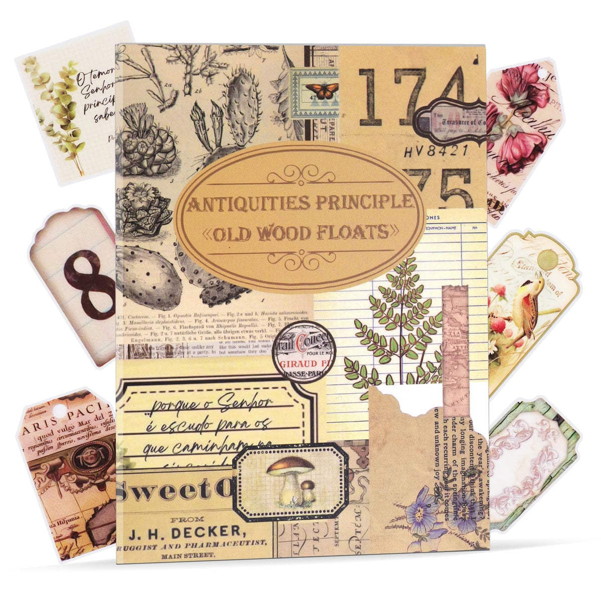 103PCS Vintage Scrapbook Stickers Book Scrap Book Stickers for Scrapbooking, Junk Journal Sticker Book Supplies Transparent Clear Flower Floral Sticker Big Small Scrapbook Supplies Kids (Burnt Paper)