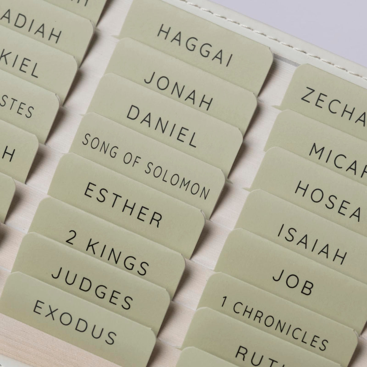 UPAFEXXI-Bible Tabs with Book Summaries, 3D Gold Foil Embossed Lettering