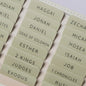 UPAFEXXI-Bible Tabs with Book Summaries, 3D Gold Foil Embossed Lettering