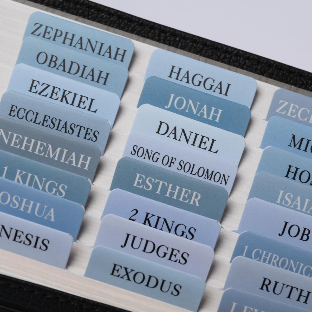 UPAFEXXI-Bible Tabs with Book Summaries, 3D Gold Foil Embossed Lettering