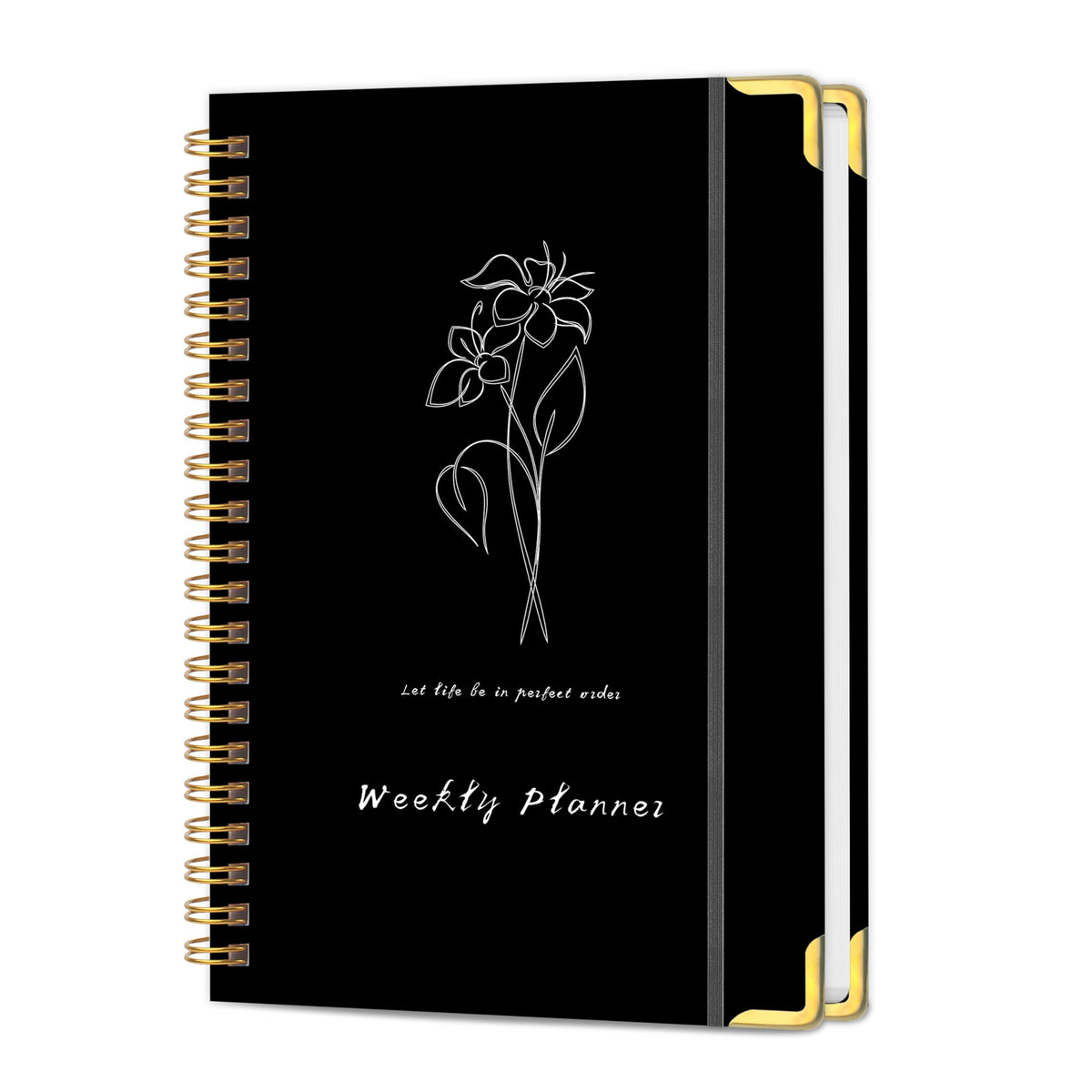 TREES Undated Daily Planner, 80-Day To-Do List with Hourly Schedule