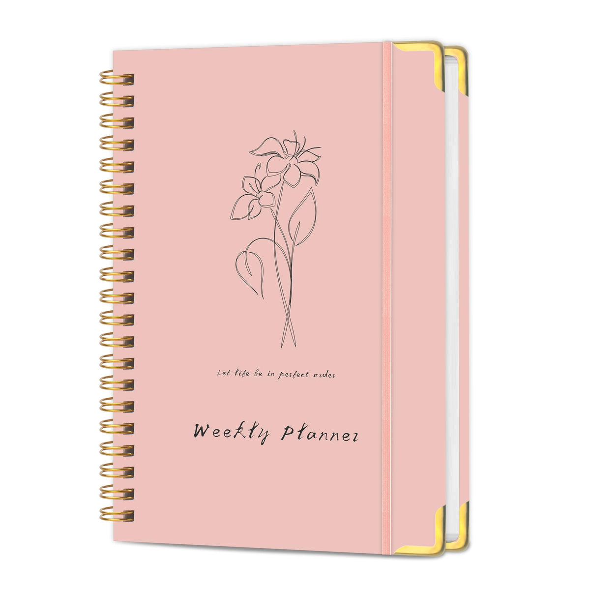 TREES Undated Daily Planner, 80-Day To-Do List with Hourly Schedule