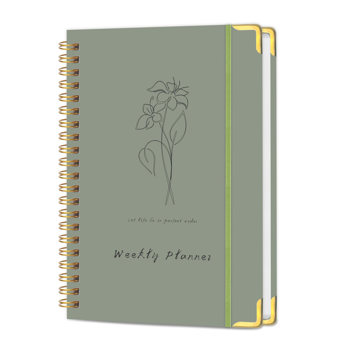 TREES Undated Daily Planner, 80-Day To-Do List with Hourly Schedule