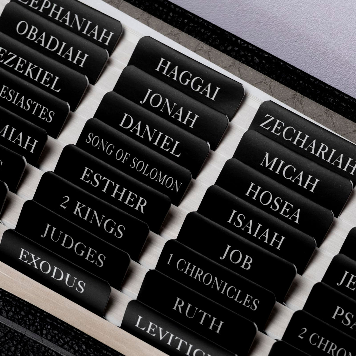 UPAFEXXI-Bible Tabs with Book Summaries, 3D Gold Foil Embossed Lettering