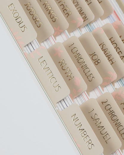 UPAFEXXI-Bible Tabs with Book Summaries, 3D Gold Foil Embossed Lettering