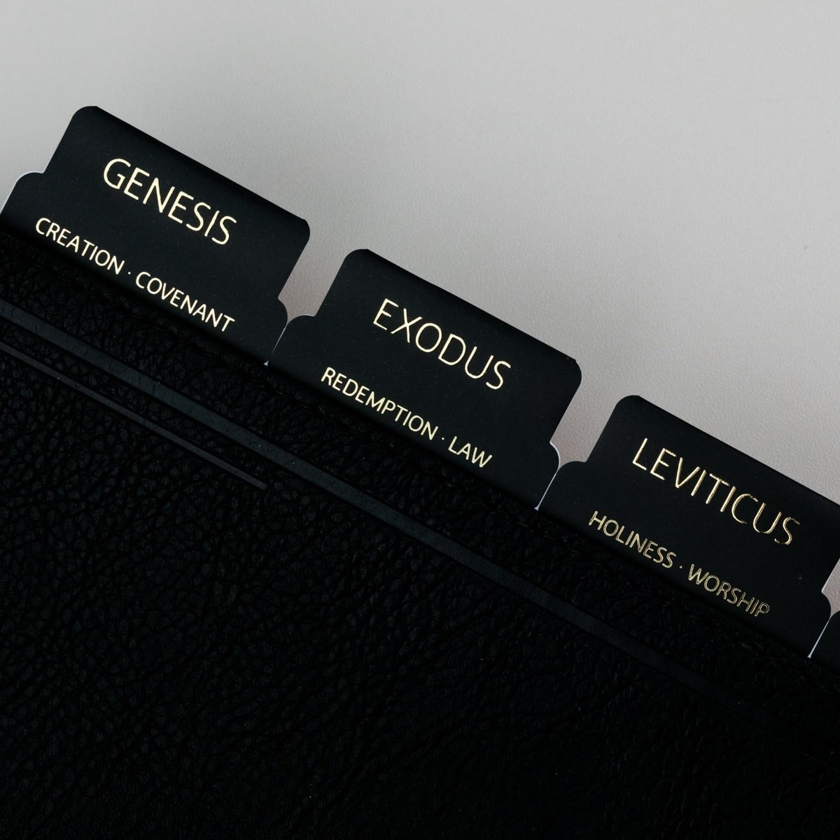 UPAFEXXI-Bible Tabs with Book Summaries, 3D Gold Foil Embossed Lettering