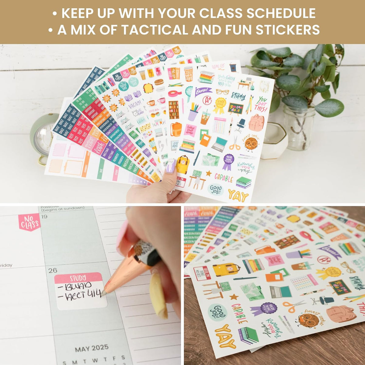 bloom daily planners Student Planner Stickers - 8 Sheets / 672 Stickers - Essential School Themed Variety Pack for Academic Year Planning - Icons & Illustrations to Track Assignments, Exams, & More
