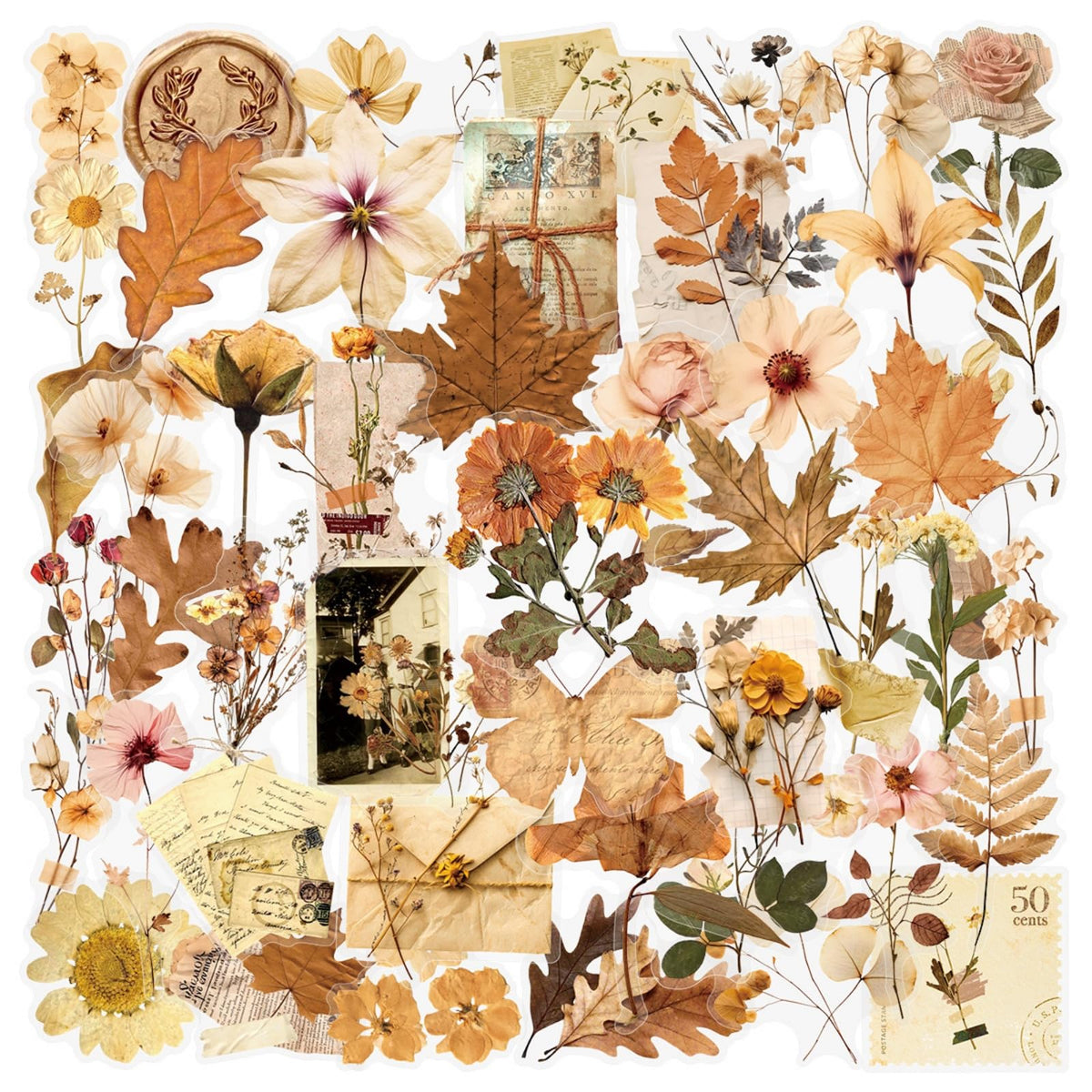 Transparent Flora Scrapbook Stickers Aesthetic Flowers Stickers(50)