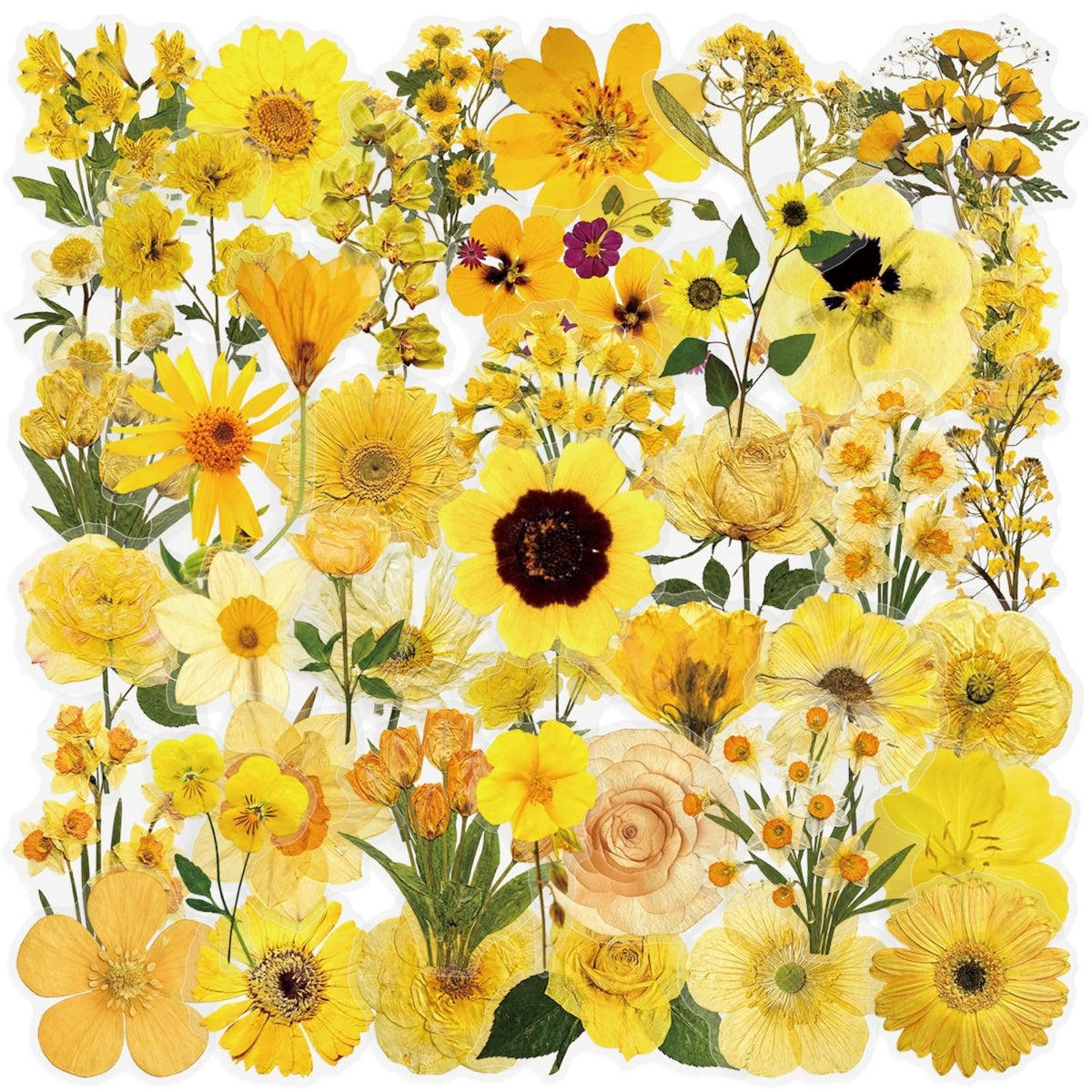 Transparent Flora Scrapbook Stickers Aesthetic Flowers Stickers(50)
