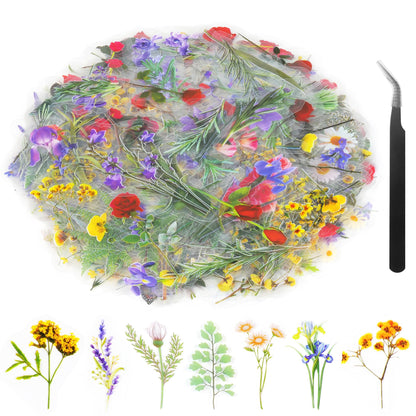 160Pcs Natural Flower Stickers for Scrapbooking,Self-Adhesive Transparent Flower Stickers Scrapbook Supplies Journaling Supplies for Adult Card Making Letters DIY Water Bottle Cards Decoration