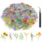 160Pcs Natural Flower Stickers for Scrapbooking,Self-Adhesive Transparent Flower Stickers Scrapbook Supplies Journaling Supplies for Adult Card Making Letters DIY Water Bottle Cards Decoration