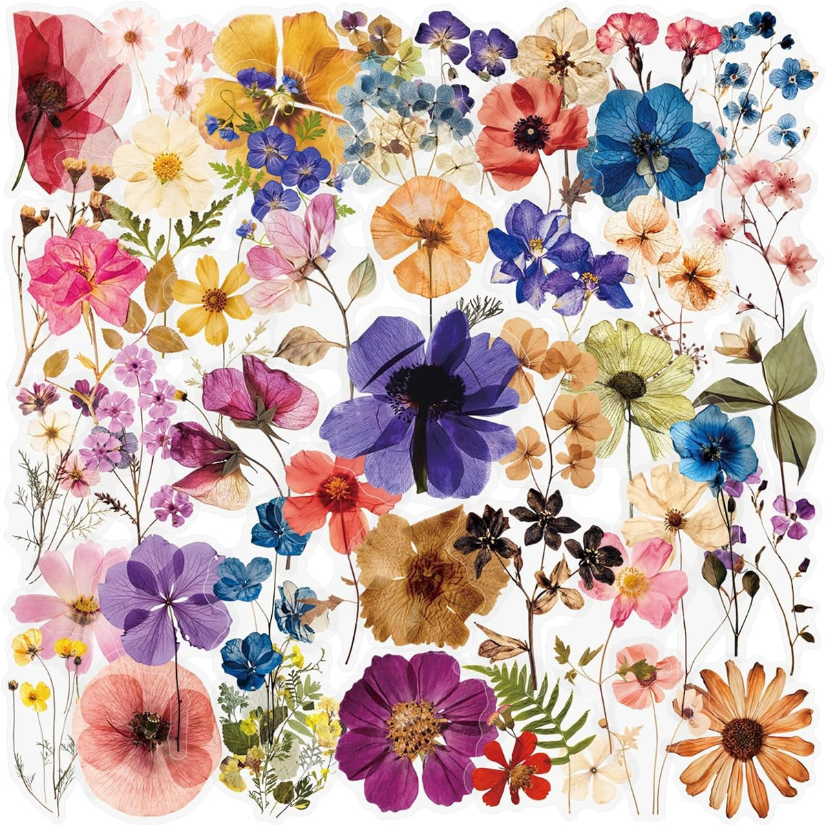 Transparent Flora Scrapbook Stickers Aesthetic Flowers Stickers(50)