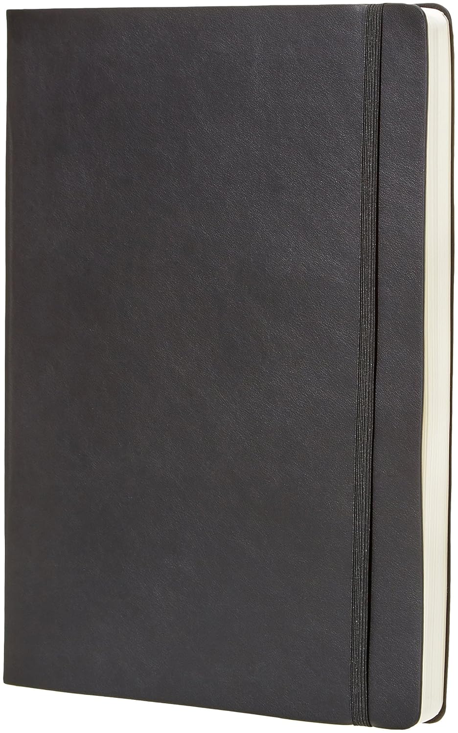 Amazon Basics(6 Months)Undated Planner - 8.5 Inch x 11 Inch, Soft Cover