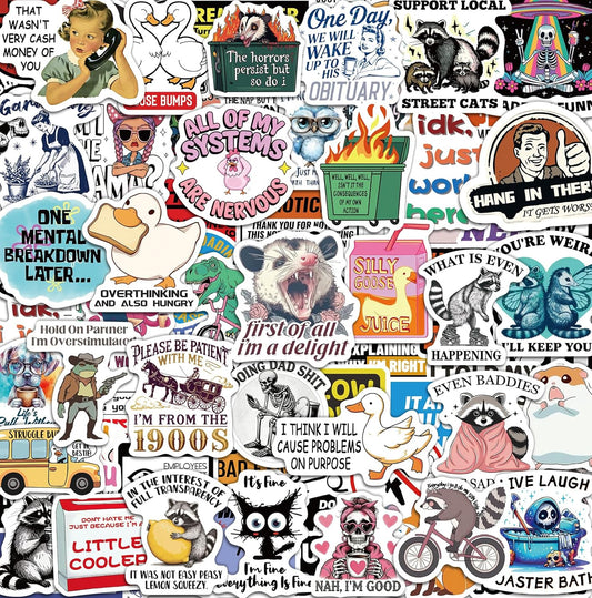 300 Pcs Funny Stickers for Adults, Sticker Pack for Water Bottle Laptop